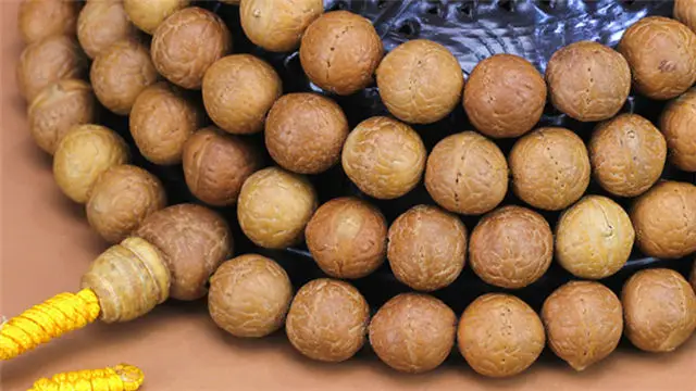 Tràng hạt bồ đề Phật Nhãn Nepal 108 hạt – hạt 14–15mm (TP01) – ảnh 4