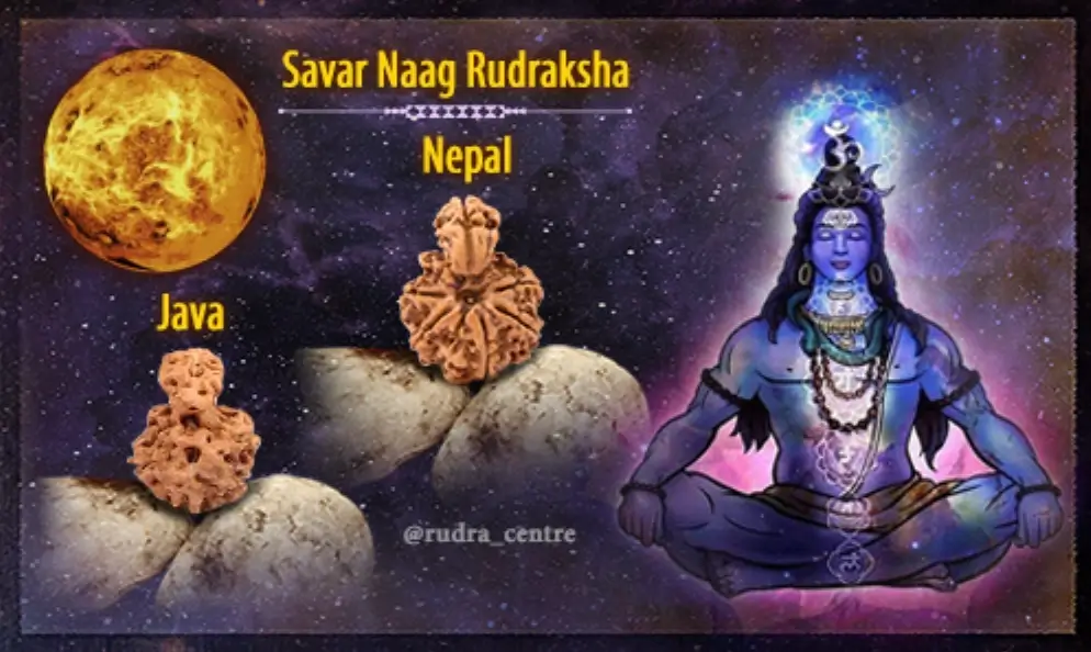 cai trị bởi Chúa Shiva