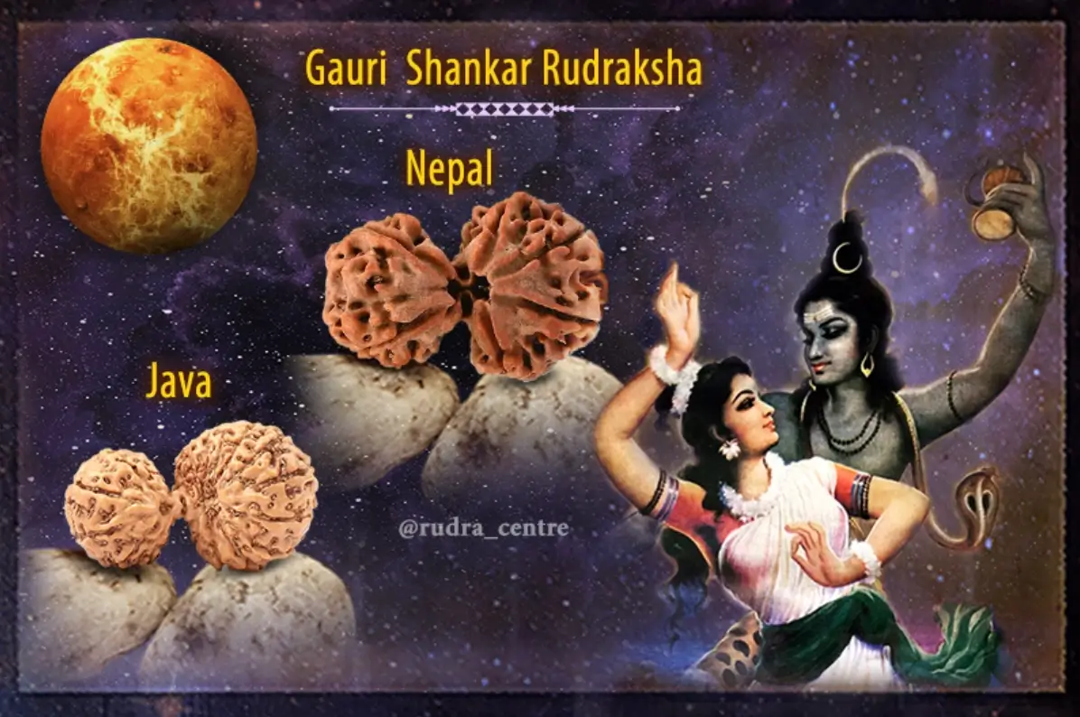 kết hợp của Shiva và Shakti