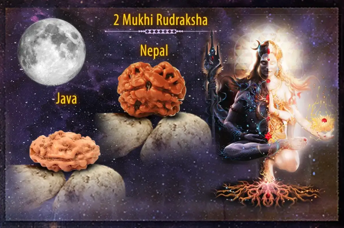 mỗi loại hạt Rudraksha được liên kết với một vị thần